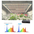 LM301H EVO Led Grow Light 720W 800W Balanced PPFD Uv Ir Separately Control Led Grow Full Spectrum Indoor Plant Grow Light