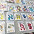 M031 Handicraft Flower Press Bulk Mixed Pack Fresh Real Pressed Natural Dried Flowers Dried Pressed Flower for Resin MegaBDM
