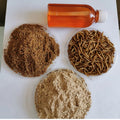 120 Mesh 72% Protein Defatted Mealworm Powder for Food Additives