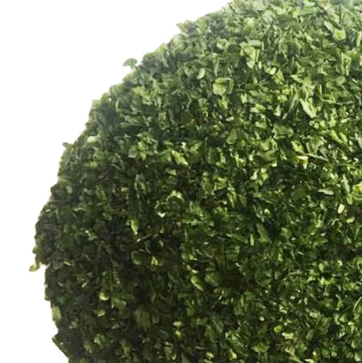 New Harvested Raw Japanese Cuisine Dried Edible Seaweed Nori Cut for Sale