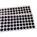 Guangdong Acrylic Sheet Sticky Gel Polyurethane Diecutting Double Sided Silicone Adhesive Tape Circles