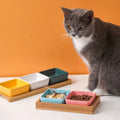Hot Fashion Cat Food Bowl Cute Colorful 4 Pack Ceramic Glass Cat Food Water Bowl Pet Dishes Cat Bowl
