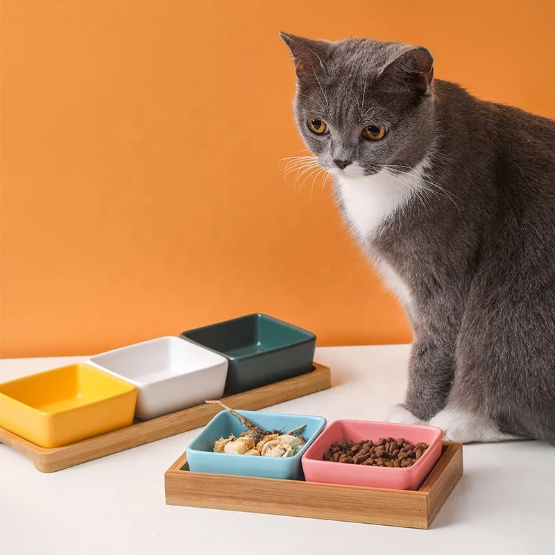 Hot Fashion Cat Food Bowl Cute Colorful 4 Pack Ceramic Glass Cat Food Water Bowl Pet Dishes Cat Bowl