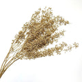 Yunnan Wholesale Decorative Preserved Millet Eucalyptus Fruit Flower Dried Flowers and Plants for Home Decoration