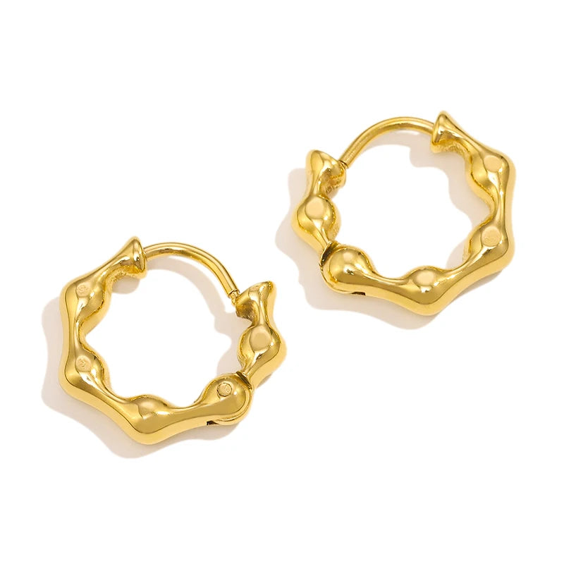 MICCI Trendy Luxury Stainless Steel Anti Tarnish Jewelry Fashion Fine Hoop Earings Jewellery for Women