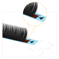 Lashex Private Label 16 Lines C/D Curl 5mm 6mm 7mm  Bottom Silk  Lash Extensions Trays Wholesale