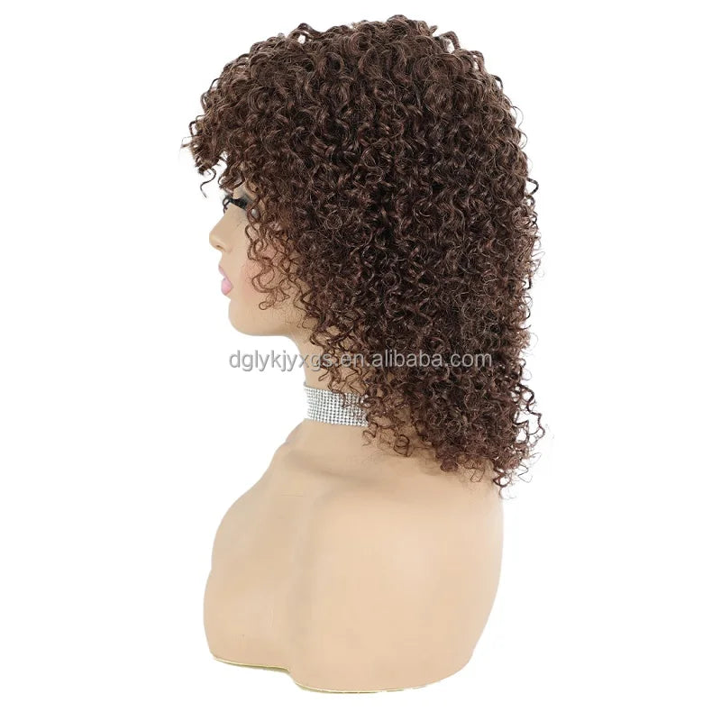 HL16-20 Remy Hair Human Wig Oblique Bangs Brown Bohemian Curly 12inch Human Hair Wigs Hair Swiss Lace Short Myanmar