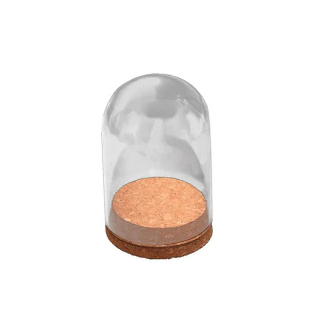 Mini Classic Glass Jar with Cork Stopper New Art Deco Home  Accessory for Office and Restaurant Home Accessory