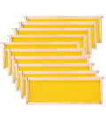 Langstroth Deep Frame with Wax Foundation Beekeeping Bee Hive Frames