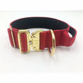 Manufacturer Luxury Solid Heavy Duty 1.5 Inch 4 Layer Nylon Webbing Frog Clip Adjustable Metal D Ring & Buckle Pet Dog Collar
