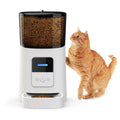 Kingtale Pet Feeding Product Dog Cat Smart Pet Feeder Wifi Mobile Phone App Remote Control Microchip Automatic Pet Feeder with 6