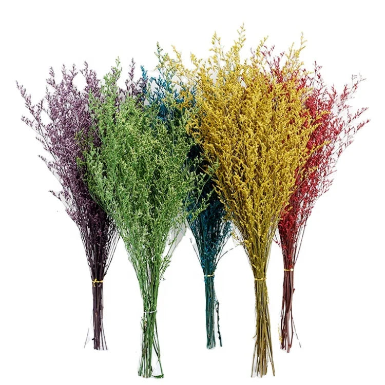 2022 New Hot Sale Product Everlasting Preserved Flowers  Lover Grass Perfect love