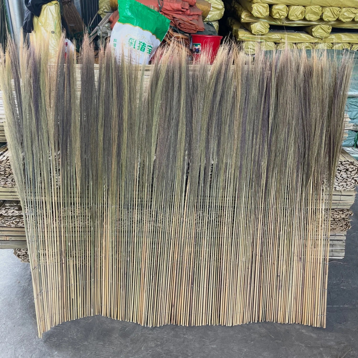 Miscanthus Fence Broom Grass Chun Spring Broom Grass All-Season Garden Use