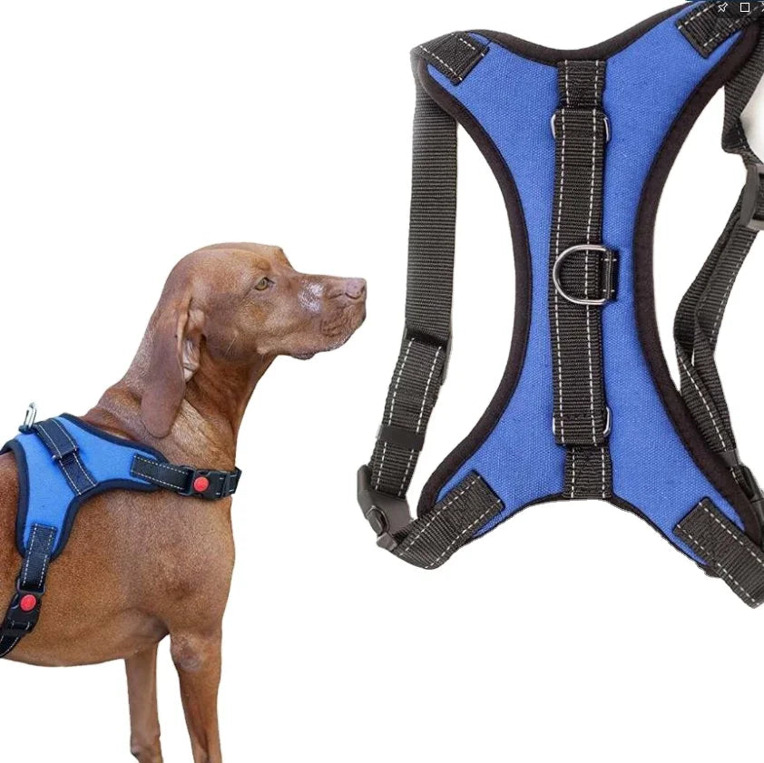 2021Amazon Hot New Pet Chest Strap Explosion-proof Pet Traction Rope