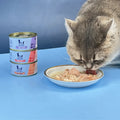 Wholesale Top Grade High Protein Natural Wet Cat Food Chicken Flavor Tuna and Chicken Bulk with Joint Health