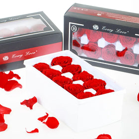 Every Love 4cm B Grade Flowers and Plants Long Lasting Preserved Roses