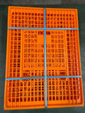 Orange Plastic Chicken Transport Crate 37.4\"x21.5\"x10.5\" New Condition Live Chicken Animal Cage