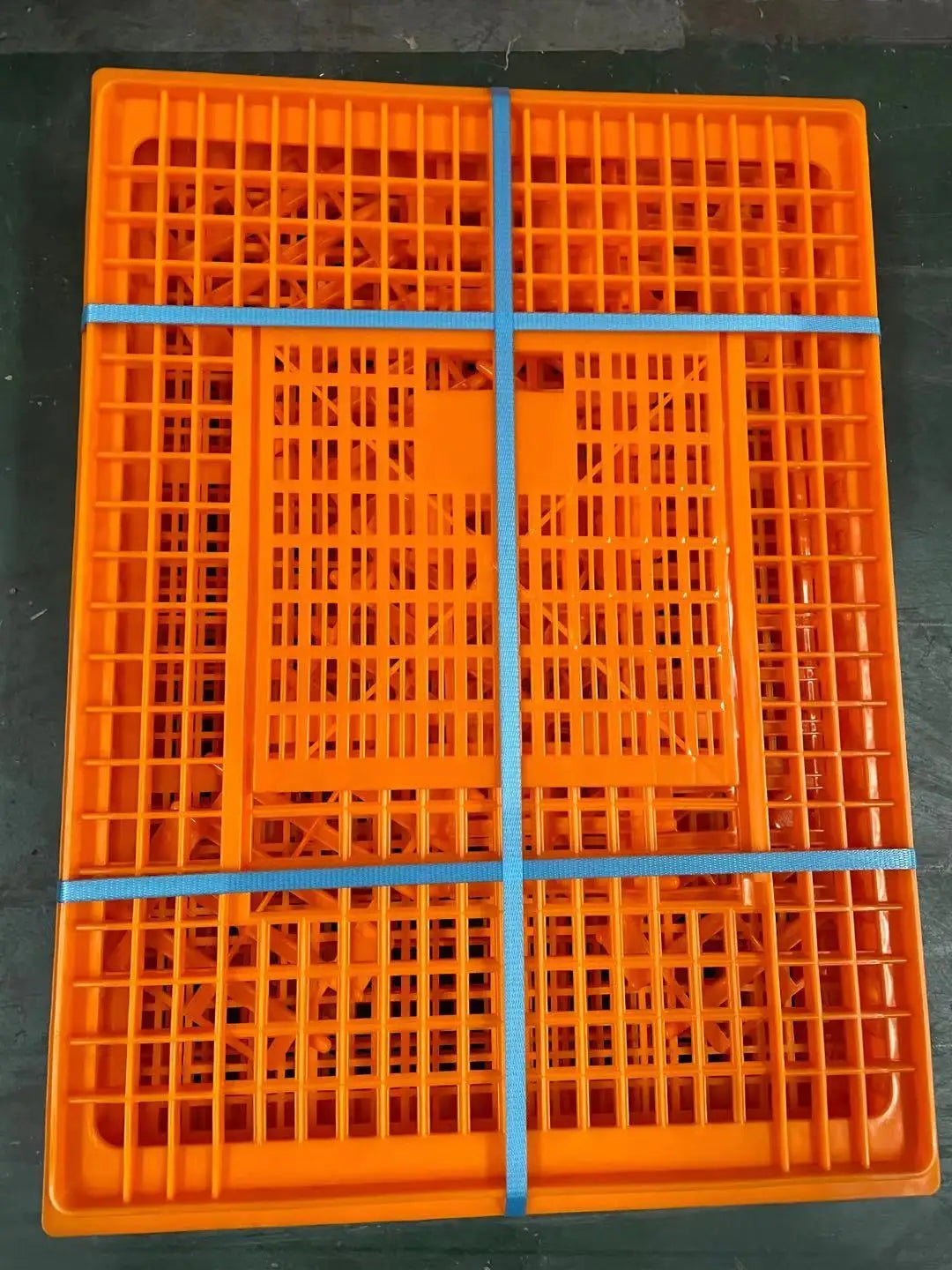 Orange Plastic Chicken Transport Crate 37.4\"x21.5\"x10.5\" New Condition Live Chicken Animal Cage