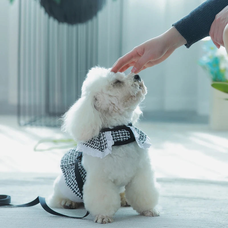 Wholesale Fashion Small Pet Dress Luxury Cat and Dog Girl Harness Leash Set with Fragrance Polyester Material