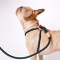 Rope Puppy Harness Leads Retractable Dog Leash Custom Dog Harness With Handle Pet Dog Harness for Pulling