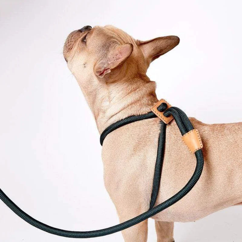 Rope Puppy Harness Leads Retractable Dog Leash Custom Dog Harness With Handle Pet Dog Harness for Pulling