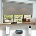 Tuya Wifi Alexa Zigbee Double Zebra Window Roller Shades Blinds Motorized Roller Blinds