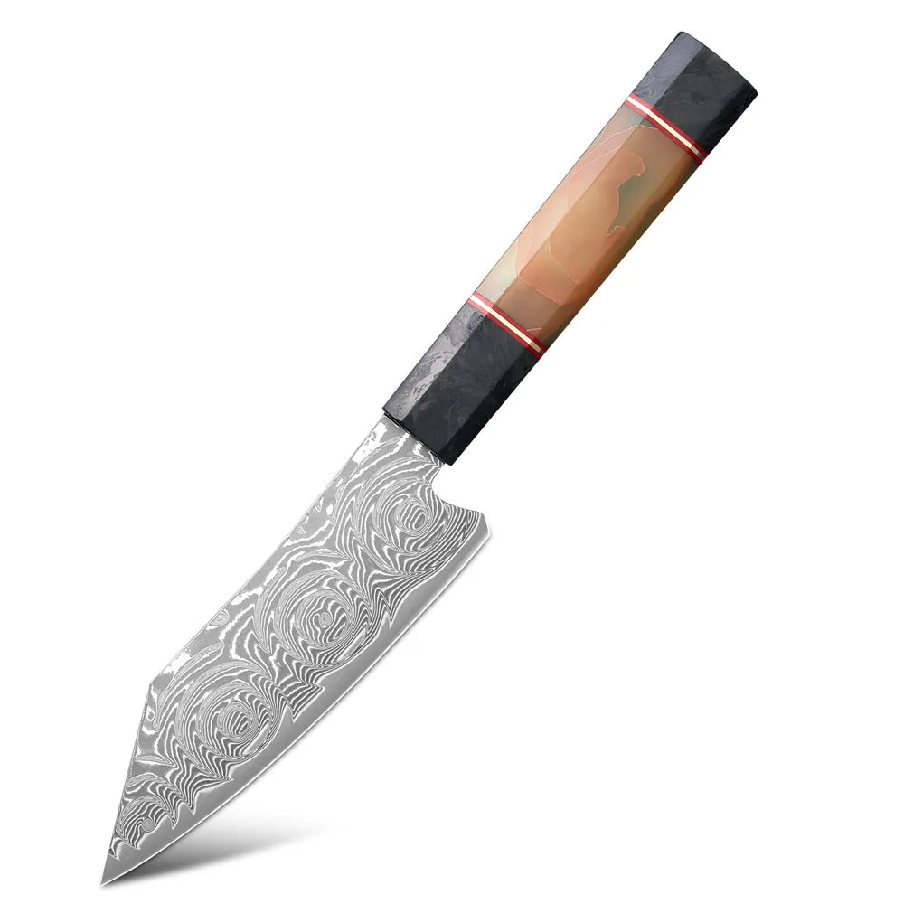Popular Japanese handmade petty utility Knife  67 Layers Damascus Steel Rose Pattern fruit knife with Fluorescent Handle
