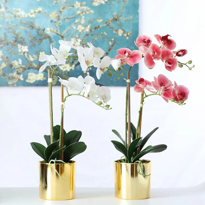 Hot Sale Silk Real Touch Artificial Phalaenopsis Bonsai Plastic Orchid Flower with Vase