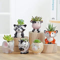 Cute Cartoon Animal Succulent Planter Pots Mini Ceramic Flower Planters Drainage Hole Indoor Home Application Cactus Container
