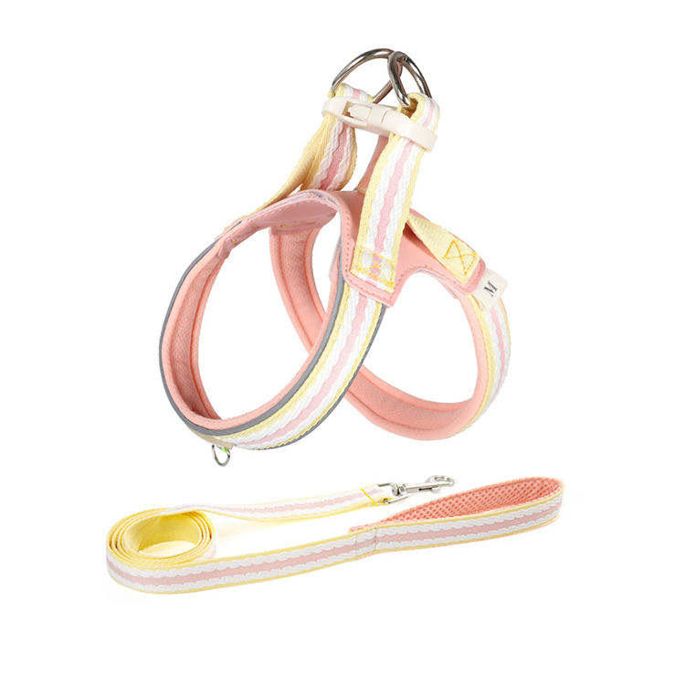 Lightweight Breathable Dog Harness & Leash Set – Padded Chest Strap, Rainbow & Solid Colours – Size L – EU Local Stock