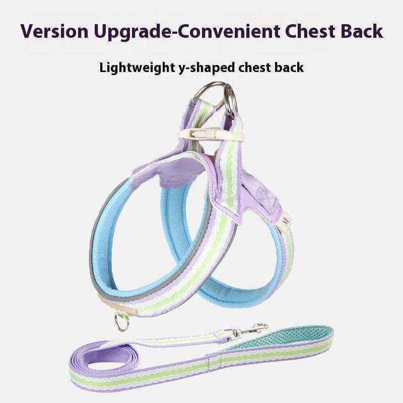 Lightweight Breathable Dog Harness & Leash Set – Padded Chest Strap, Rainbow & Solid Colours – Size L – EU Local Stock