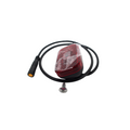 Rear Light Assembly for Select Electric Scooter MegaBDM