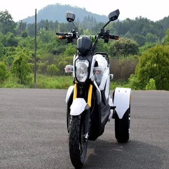 70V Electric Off-Road 3-Wheel Motorcycle – 70km/h High Speed, 65km Long Range Adult Trike