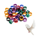 Open Bird Foot Ring Aluminum Alloy Split Bird Leg Ring for ParrotsHibiscusPeoniesPigeons (6.0mm50pcs)