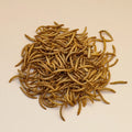 Dried Mealworm Larvae 54% Protein