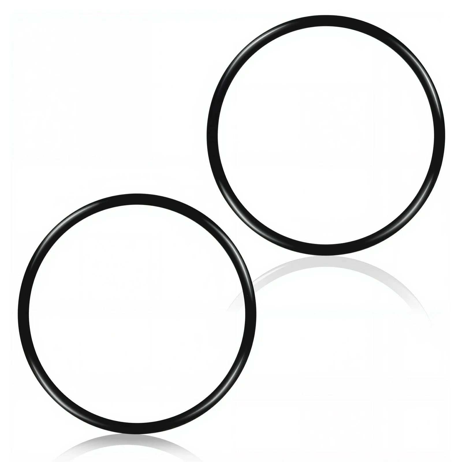 R0694100 O-RingReplacement O-Rings for Zodiac Jandy  Pro Series TruClear Chlorinator (2PCS)