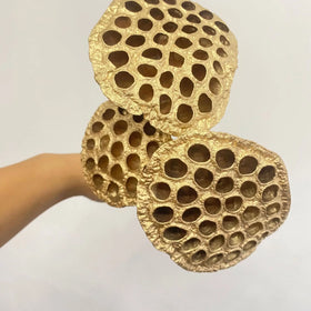 Factory Wholesale of Pure Natural Golden Lotus Pods with Customizable Packaging