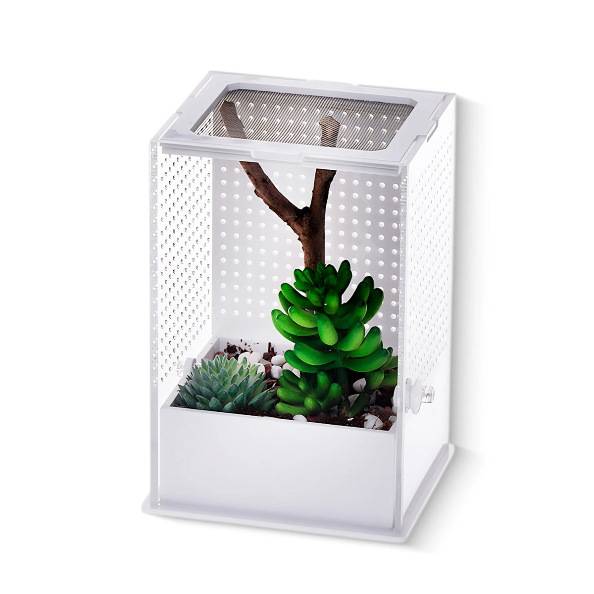 Acrylic Full Transparency Tortoise Reptile Enclosure Pet Cage for Tarantula Jumping Spider Enclosure for Small Pets MegaBDM