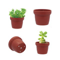 Small Pots for Mini Succulent Plants Decoration Office Green Plants
