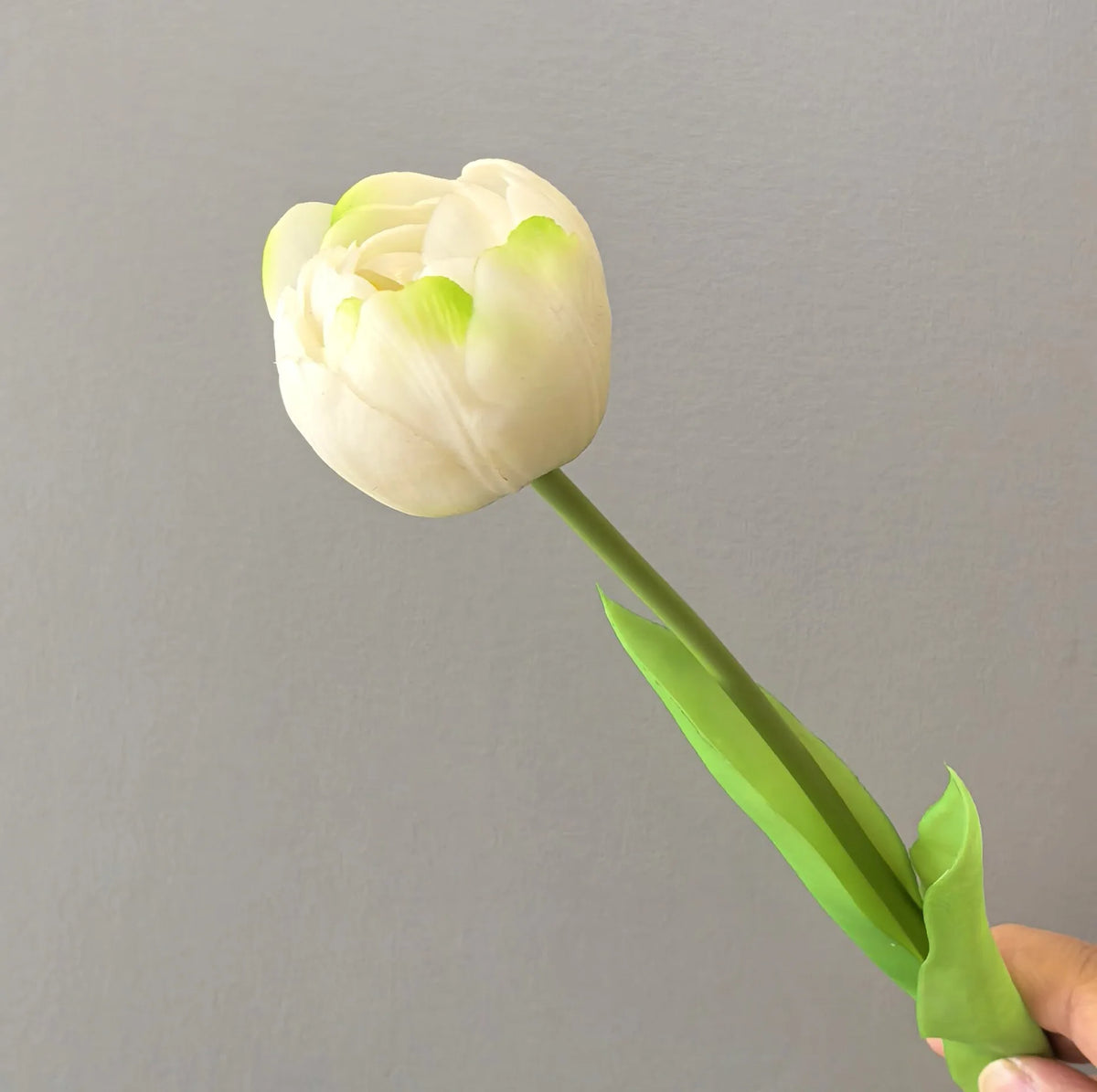 Real Touch Large Soft Plastic Tulip Wedding Home Decoration Waterproof Handmade Modern Bottle Flower Display Photography Props MegaBDM