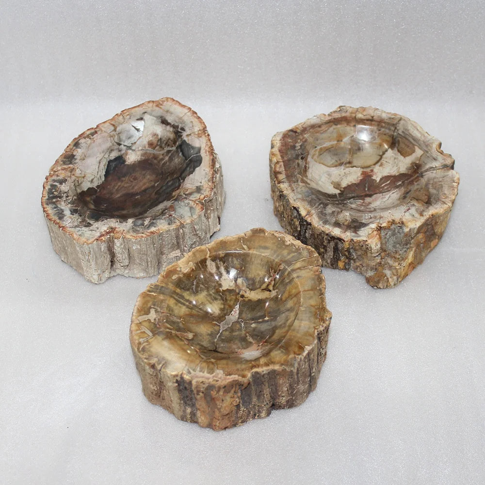 Ashtray Polished Fossilized Personality Crafts Love Gemstone Feng Shui JSY Jewelry Petrified Wood for Home Decoration Natural