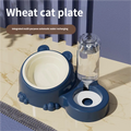 Automatic Cat & Dog Pet Feeder Bowl Set with Removable Water Dispenser 16 Degree Tilted Design Leak Proof & Waterproof MegaBDM