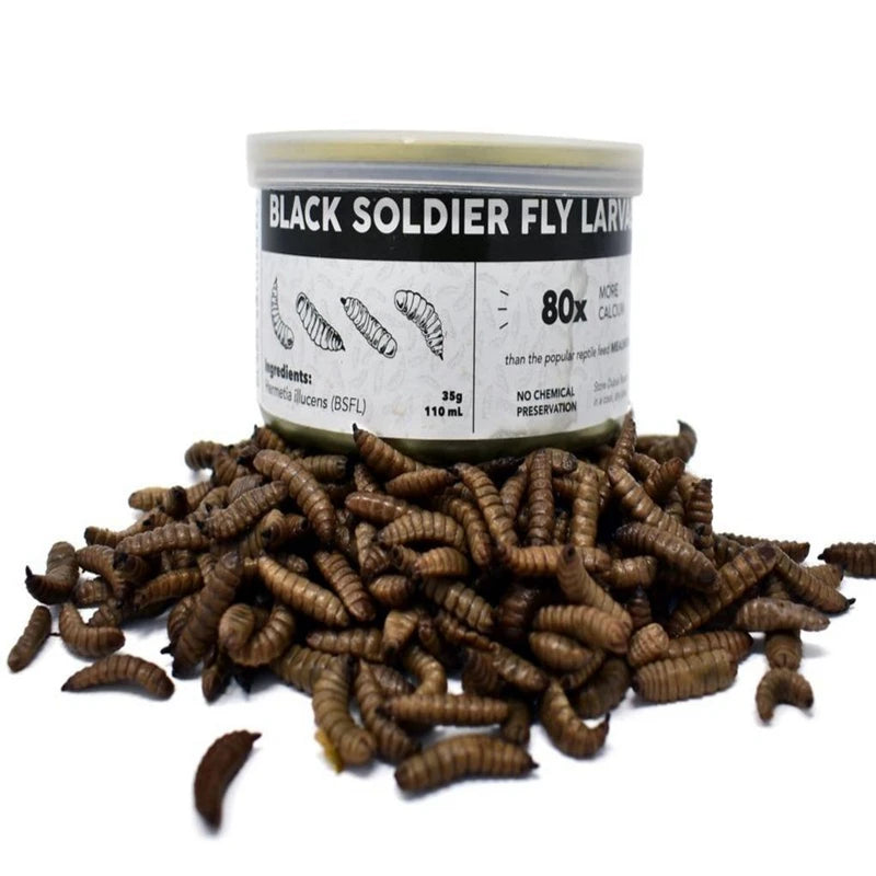 Dried Black Soldier Fly BSF Larvae for Pet Treats Customizable Packaging