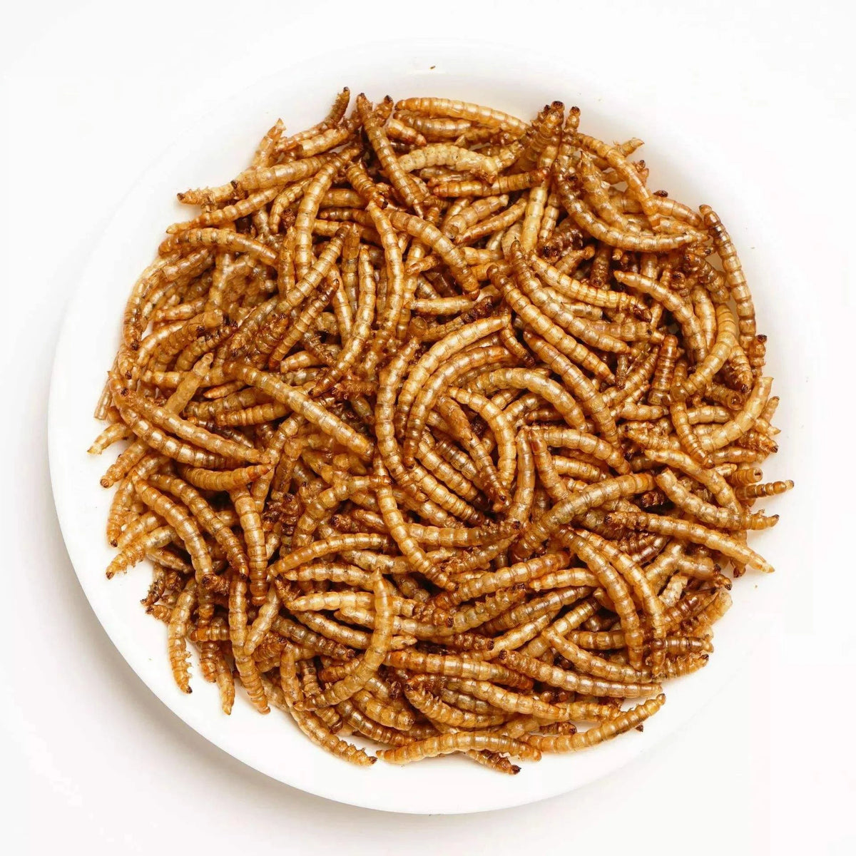 EU-certified Factory Wholesales Pure Natural High-protein Premium Dried Yellow Mealworms for Birds MegaBDM