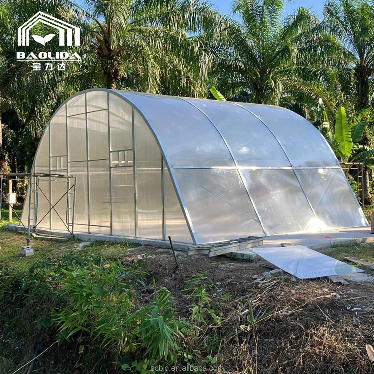 Commercial Agricultural Solar Dryer Greenhouse with Large PC Sheet Cover Complete Set MegaBDM