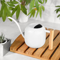 Modern Stainless Steel Watering Can with Wooden Handle Long Spout Indoor Plant Watering Pot Nordic Minimalist Garden WateringCan MegaBDM