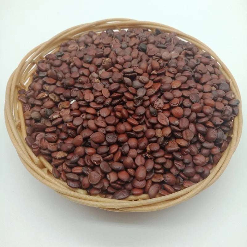 2032 Suan Zao Ren 500g Per Bag Factory Supply Bulk Price Sour Date Semen for Tea MegaBDM