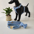 2025 Luxury Teddy Velvet Blue Pet Harness Set Durable Adjustable Dog Collar and Leash Comfortable Soft Puppy in Stock
