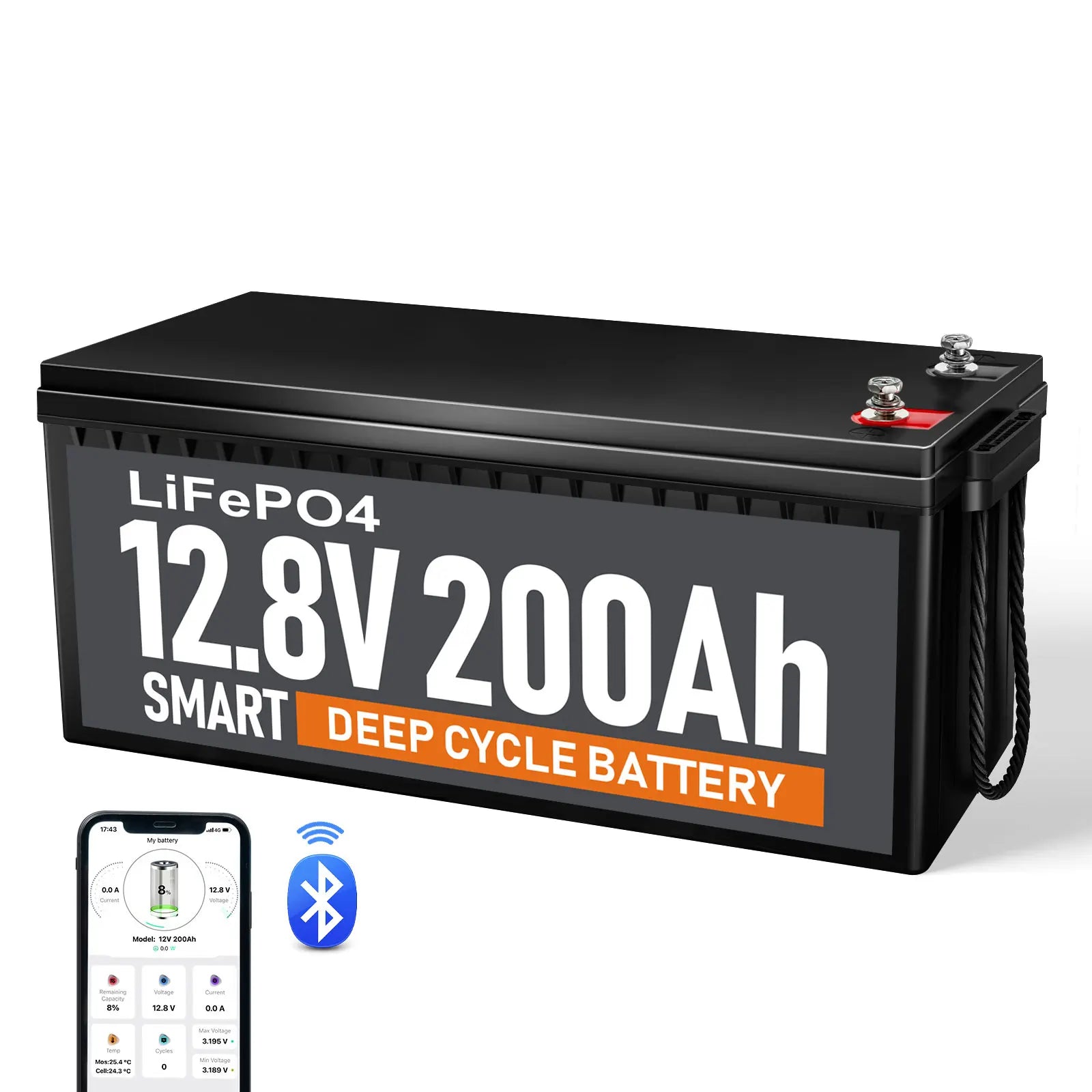 High-Performance 12V LiFePO4 Lithium Battery Pack with Smart BMS 100Ah/12.8V 6000 Cycles Solar & Home Use