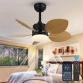 Acrylic 30 Inch  Ceiling Fans  Small Restaurant  Fan Remote Control Light  for Living Room